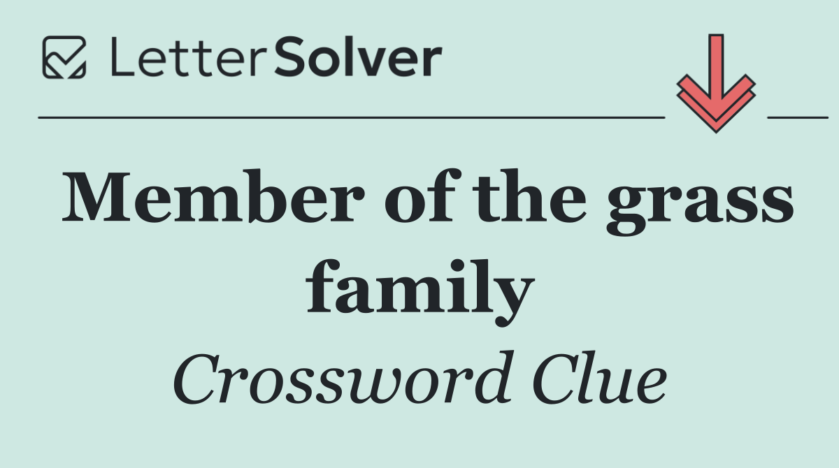 Member of the grass family