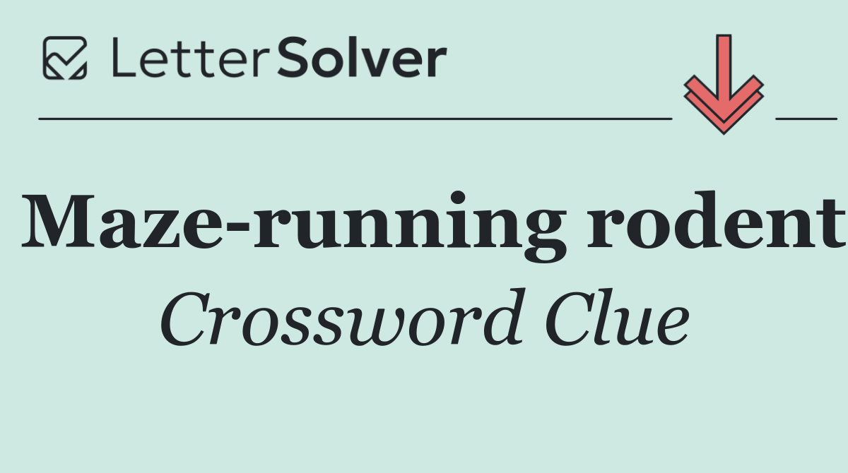 Maze running rodent