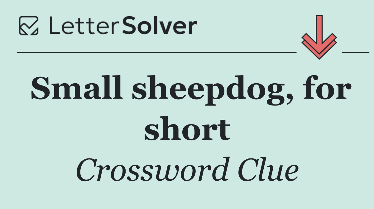 Small sheepdog, for short