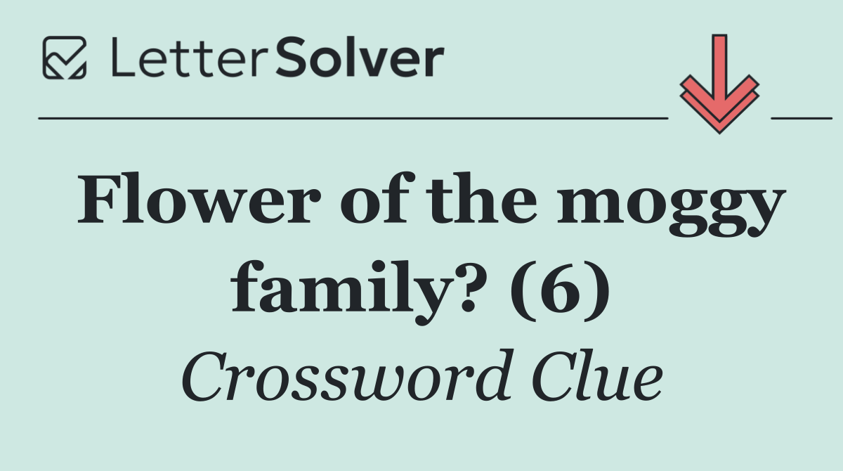Flower of the moggy family? (6)