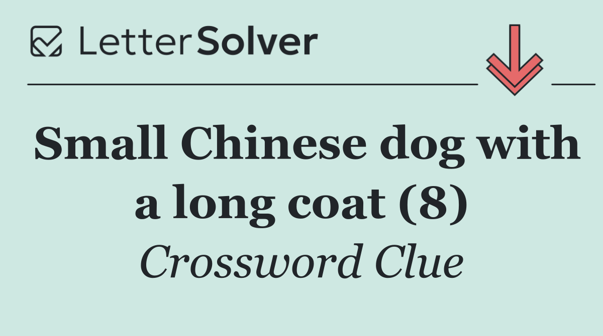 Small Chinese dog with a long coat (8)