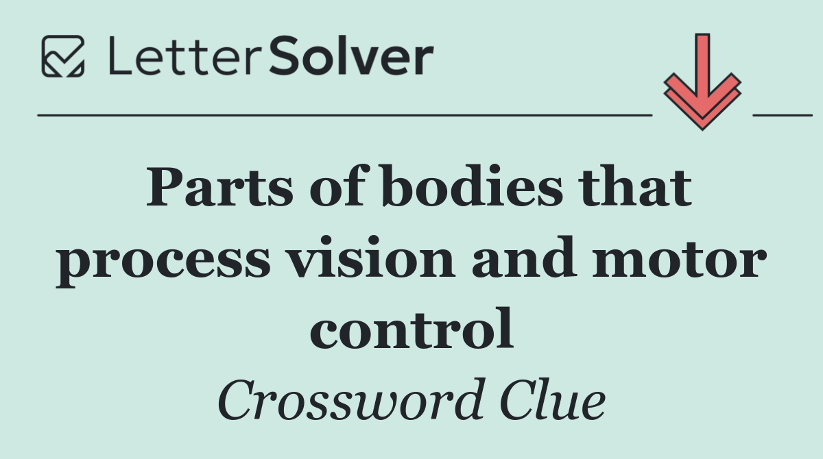 Parts of bodies that process vision and motor control