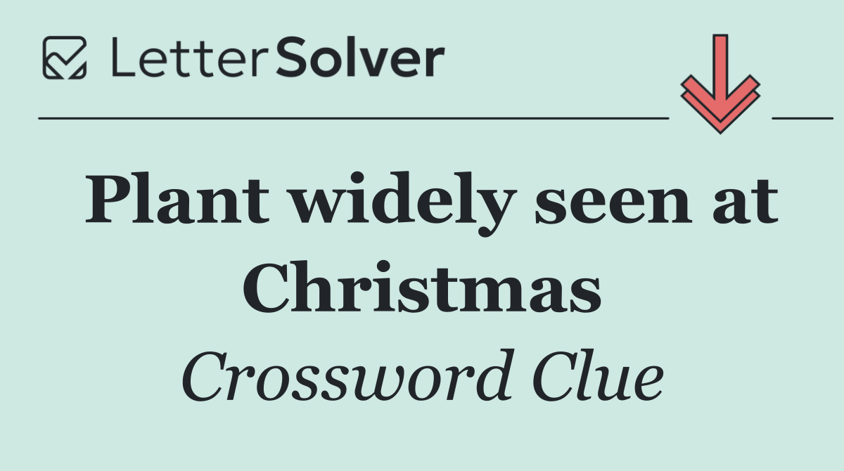 Plant widely seen at Christmas
