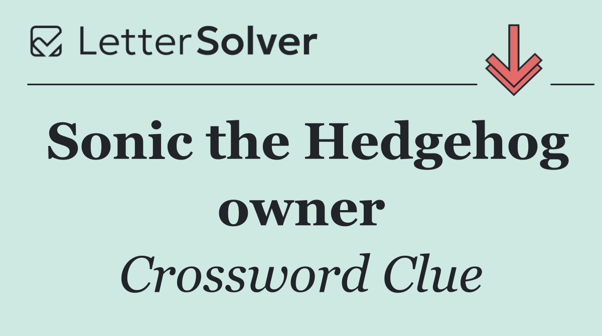 Sonic the Hedgehog owner