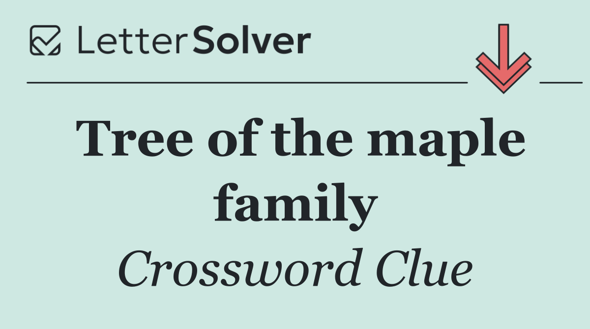 Tree of the maple family