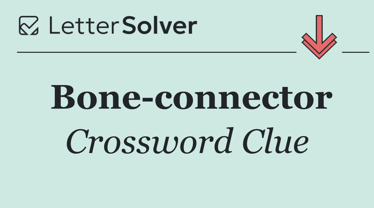 Bone connector