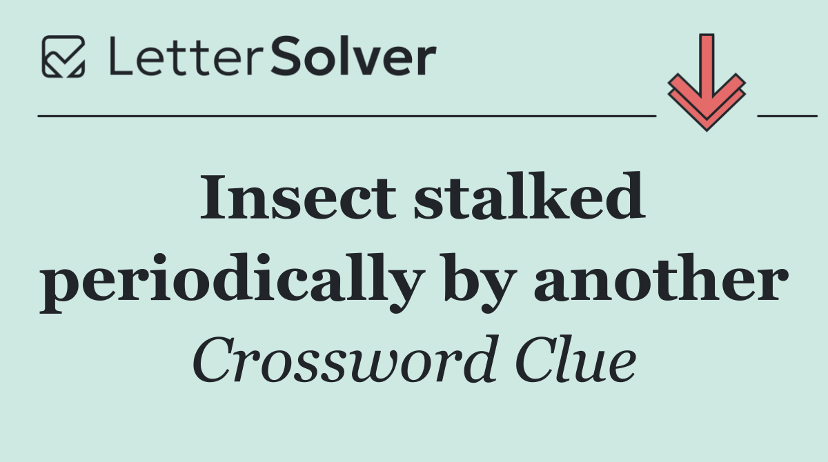 Insect stalked periodically by another