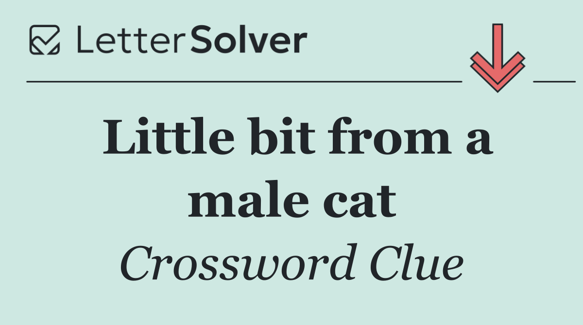 Little bit from a male cat