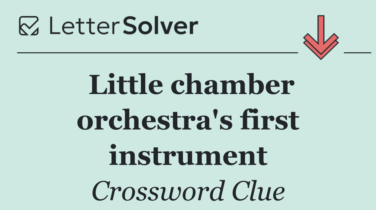 Little chamber orchestra's first instrument
