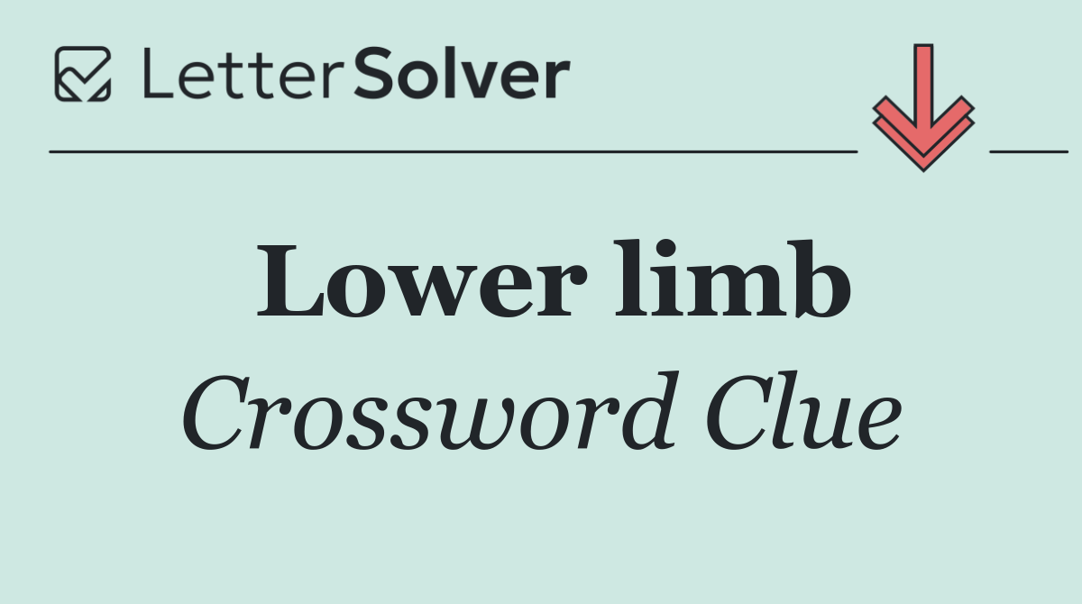 Lower limb