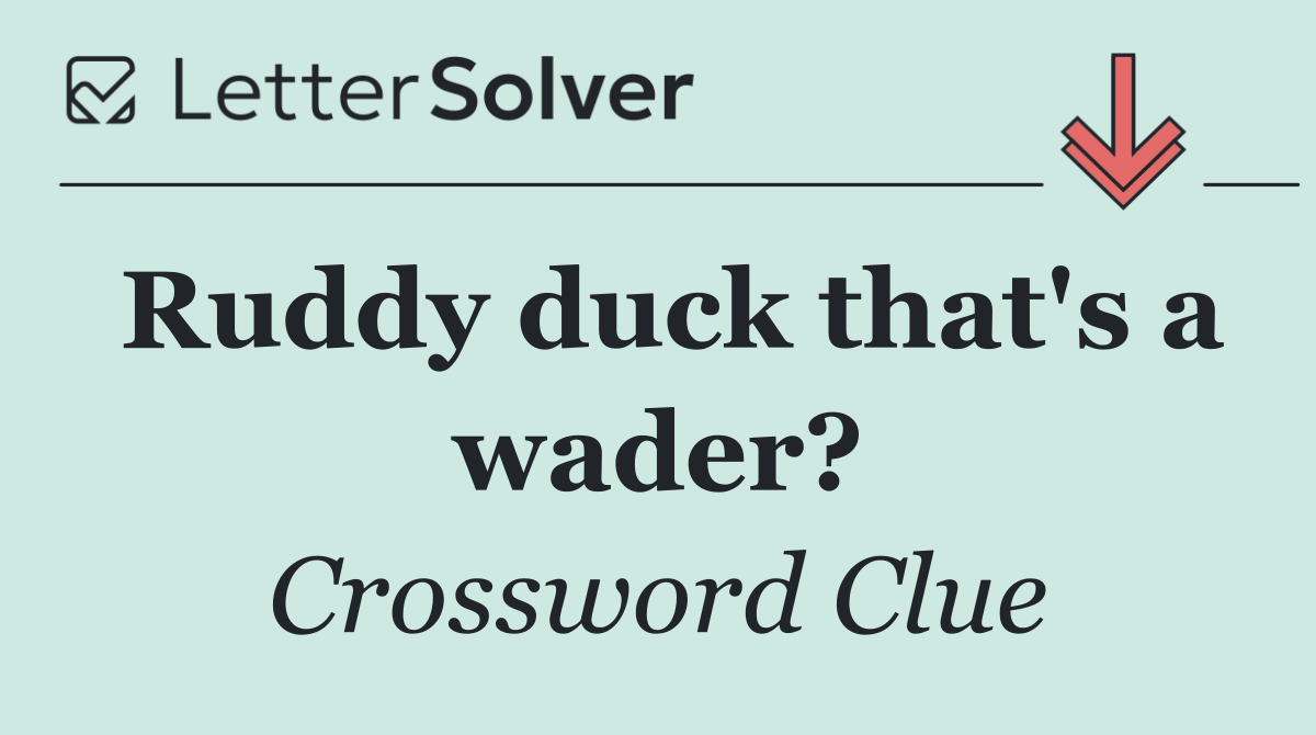 Ruddy duck that's a wader?