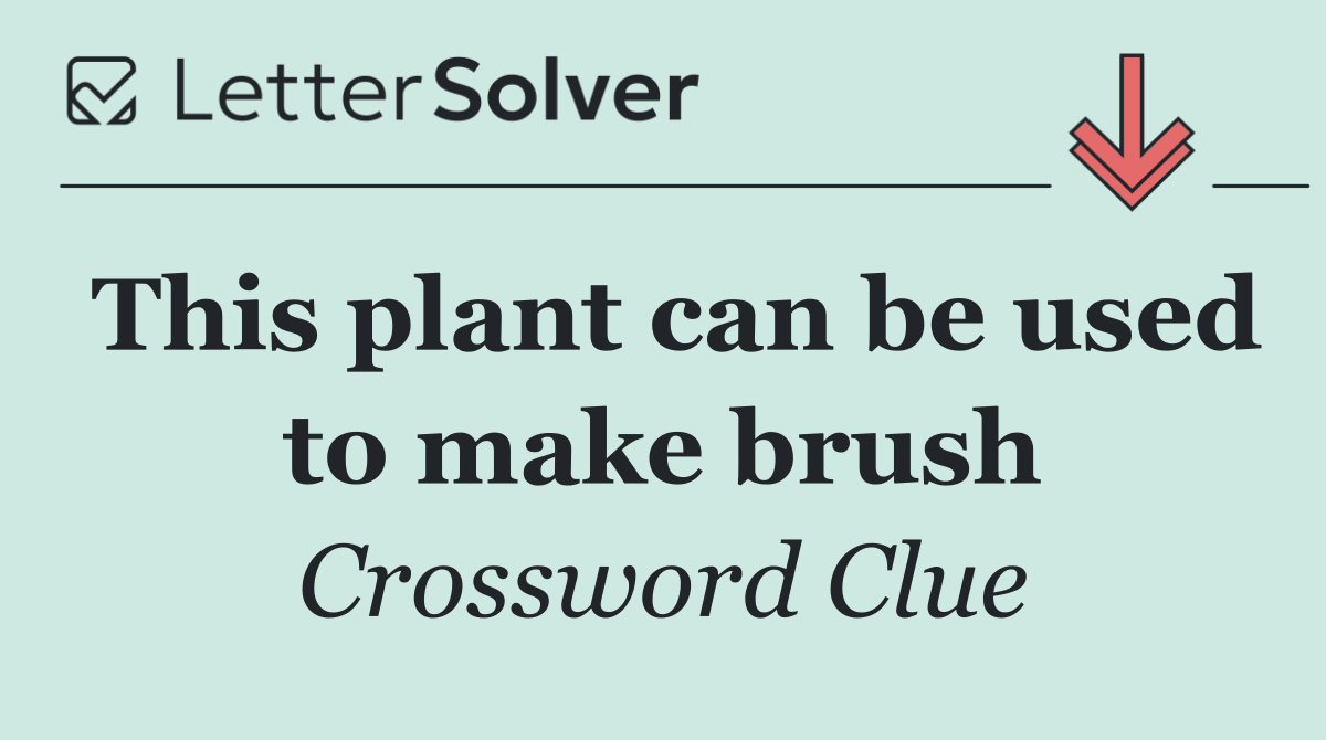 This plant can be used to make brush