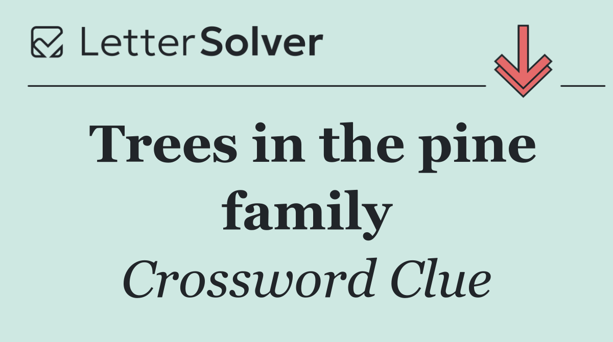 Trees in the pine family