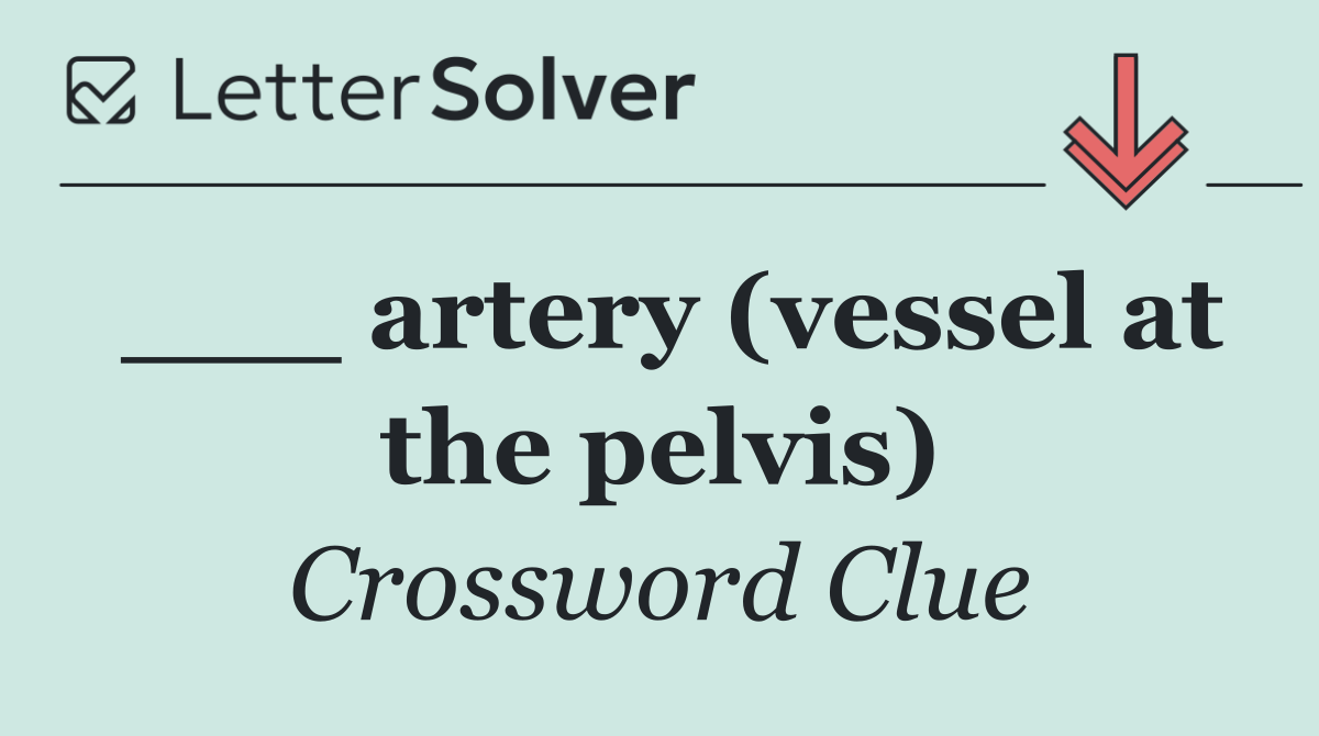 ___ artery (vessel at the pelvis)