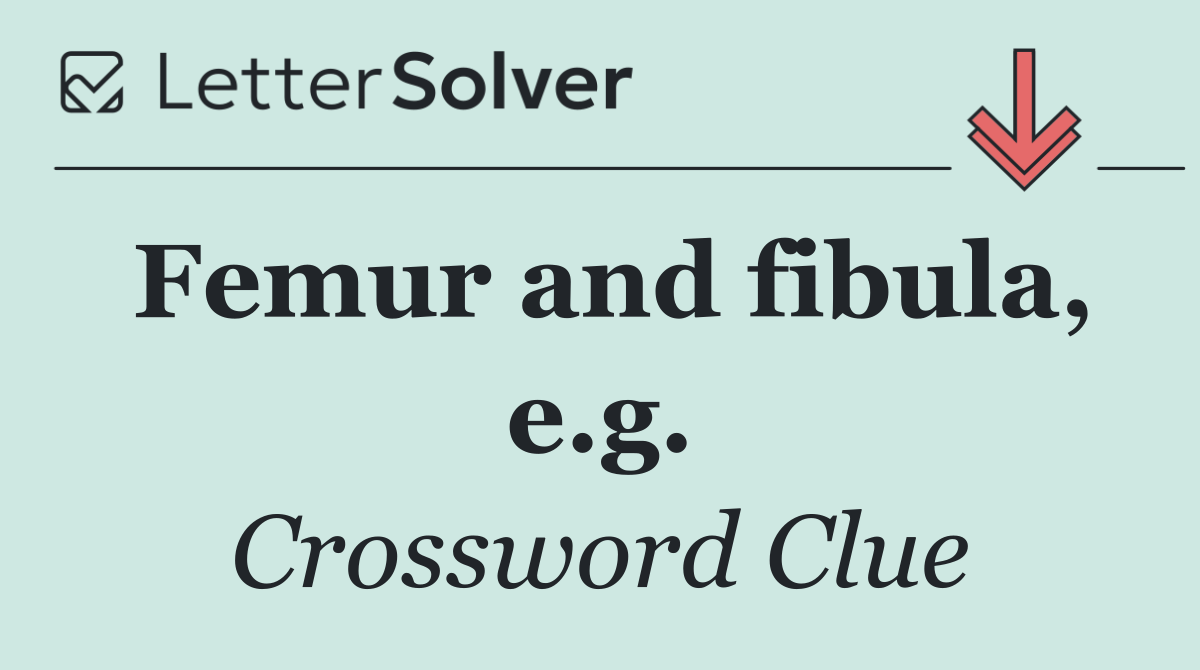 Femur and fibula, e.g.