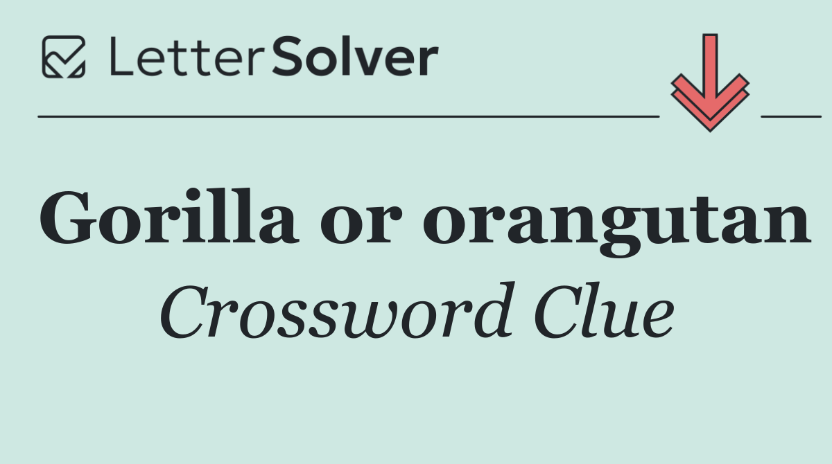 Gorilla or orangutan