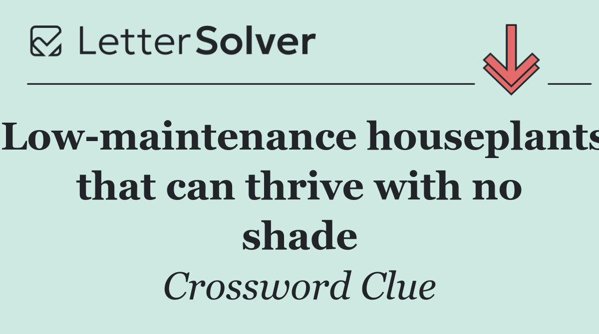 Low maintenance houseplants that can thrive with no shade